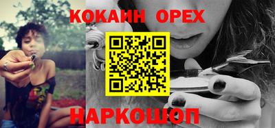 крисы Краснодар
