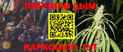 крисы Краснодар