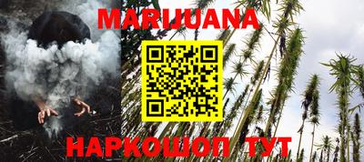 крисы Краснодар