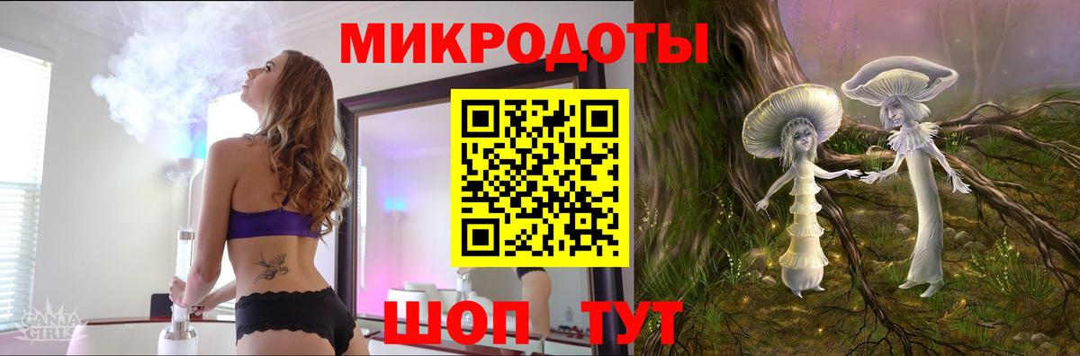 Галлюциногенные грибы Psilocybine cubensis Каменка