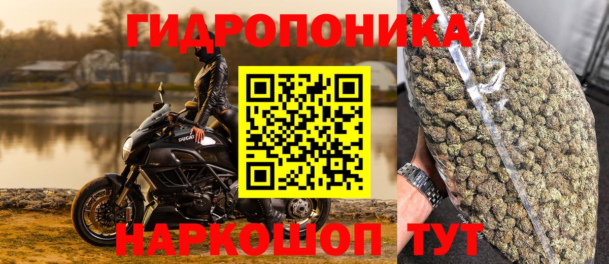 Марихуана OG Kush Каменка